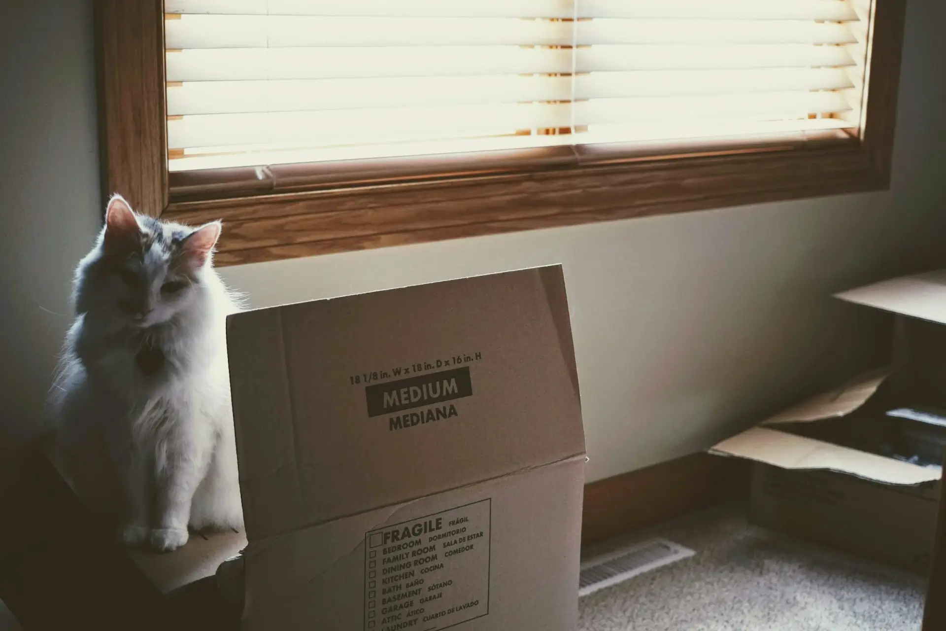 Choose a workable moving date in L’Île-Perrot