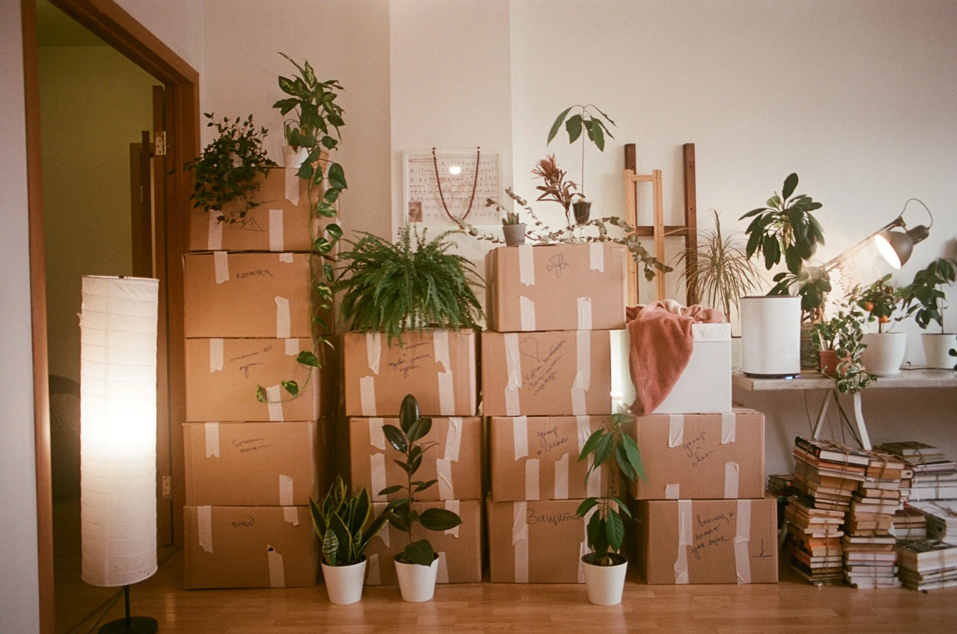 Packed boxes ready for moving